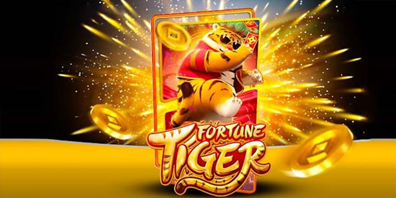 Quem é o Fortune Tiger 16bet.Com
